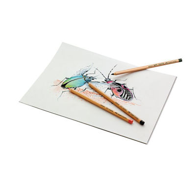 Faber Castell Pitt Pastel Pencil Sample Artwork